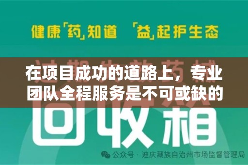 芜湖在项目成功的道路上，专业团队全程服务是不可或缺的关键