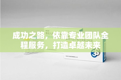 芜湖成功之路，依靠专业团队全程服务，打造卓越未来