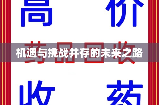 芜湖机遇与挑战并存的未来之路