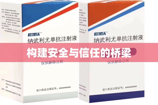 芜湖构建安全与信任的桥梁