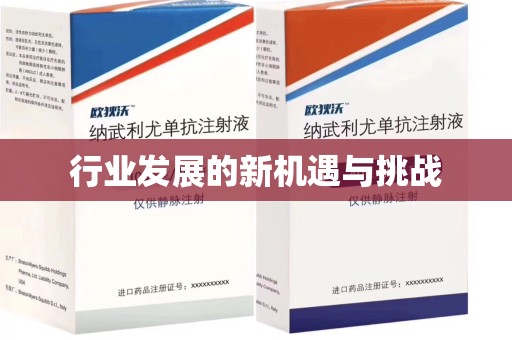 芜湖行业发展的新机遇与挑战