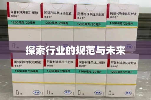 芜湖探索行业的规范与未来