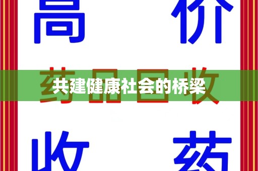 芜湖共建健康社会的桥梁