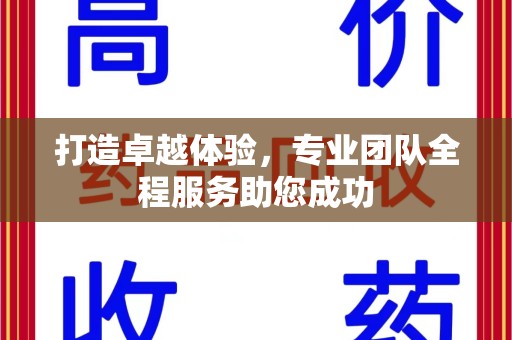芜湖打造卓越体验，专业团队全程服务助您成功
