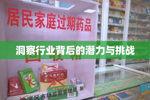 芜湖洞察行业背后的潜力与挑战
