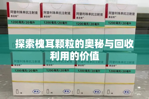 芜湖探索槐耳颗粒的奥秘与回收利用的价值