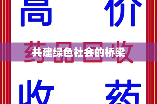 芜湖共建绿色社会的桥梁